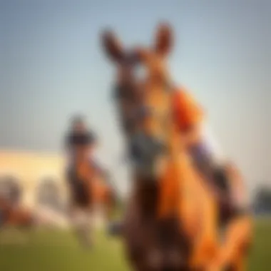 Investment opportunities in Dubai's polo community