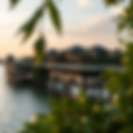 Panoramic view of Anantara Eastern Mangroves showcasing luxurious architecture amidst lush greenery