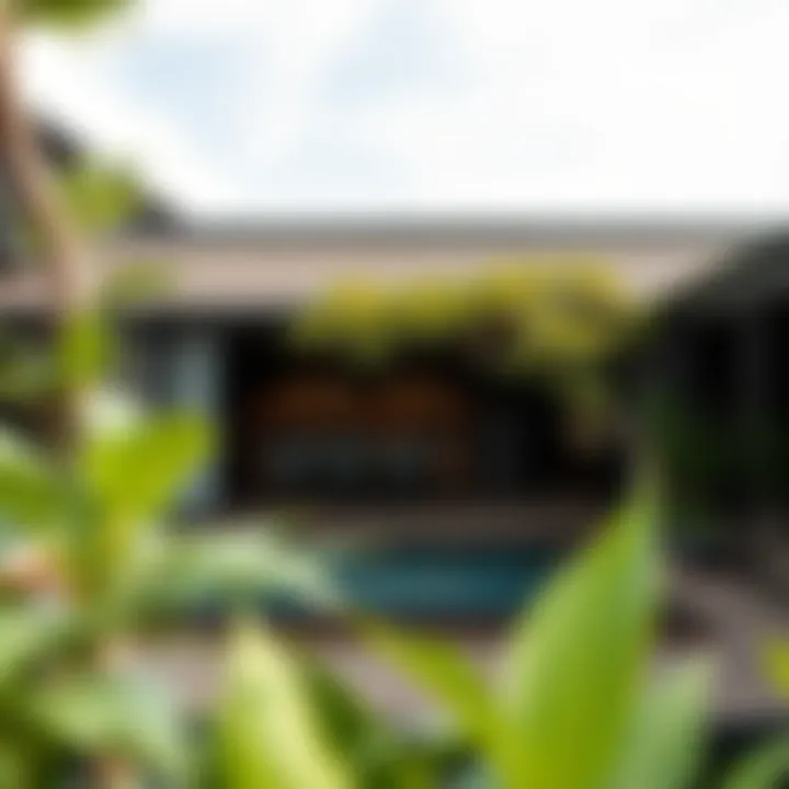 Sustainable design elements of Anantara Eastern Mangroves embracing ecological aesthetics