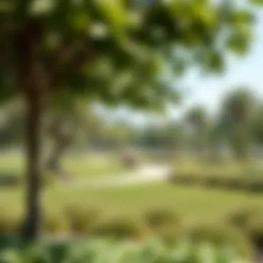 Sustainable Green Spaces in Mudon Green spaces and community parks within Mudon, emphasizing sustainability