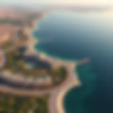 Aerial view of Damac Lagoons highlighting its beautiful landscape and architecture