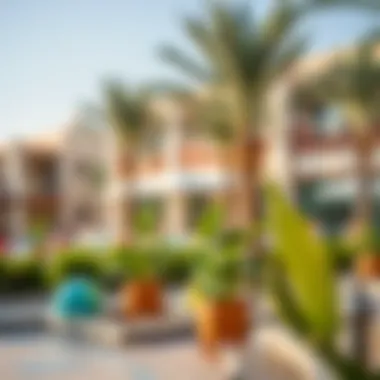 Community Amenities in Alzorah Vibrant community spaces in Alzorah, highlighting lifestyle amenities