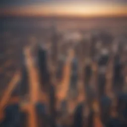 An overview of Dubai's skyline showcasing modern architecture