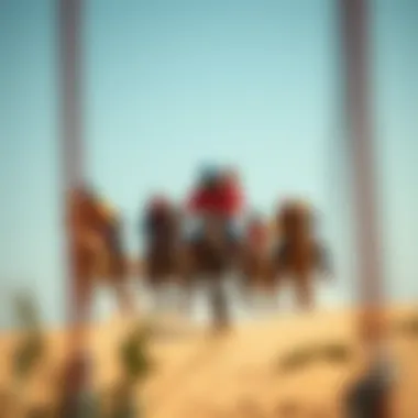 Thrilling Adventure Sports Adventure sports in Dubai, featuring thrilling activities