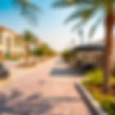 Scenic view of Hor Al Anz showcasing local amenities and parks