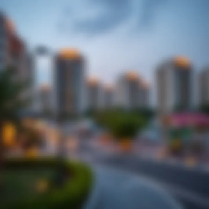 Amenities Near International City Phase 2 Local amenities and facilities surrounding International City Phase 2