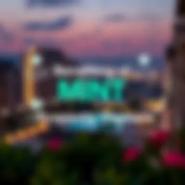 An infographic highlighting the benefits of mint rentals for property owners