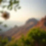 Stunning landscape view of Hatta showcasing the natural beauty of the region.