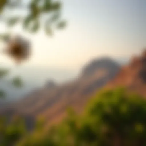 Stunning landscape view of Hatta showcasing the natural beauty of the region.