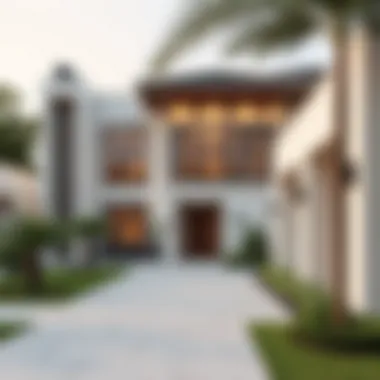 Contemporary Homes in Hatta Modern houses for sale in Hatta, highlighting architectural elegance.