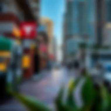 Vibrant community life in Dubai Marina