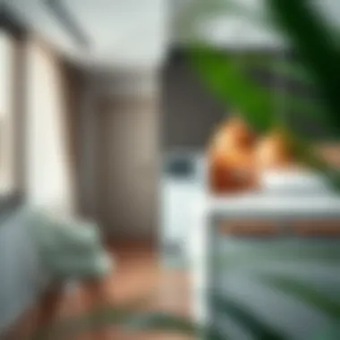 Amenities commonly found in Baniyas room rentals, such as furniture and appliances