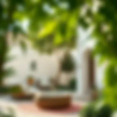 Sustainable living features in Shawamekh City