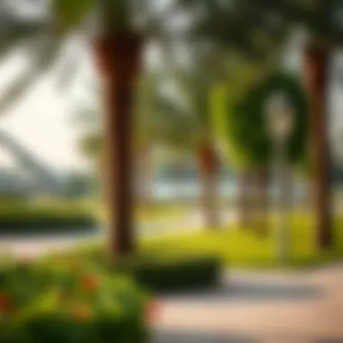 Serene park setting in Dubai