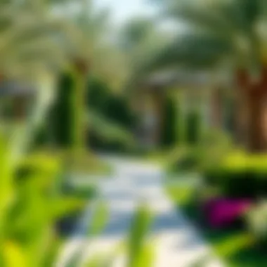 Vibrant community park in Mazaya Liwan with lush greenery.