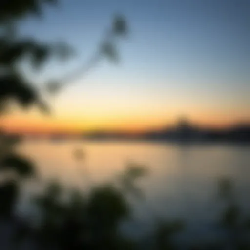 Scenic view of the Danube River at sunrise