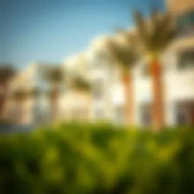 Residential Community in Jebel Ali Luxurious residential community in Jebel Ali with green spaces