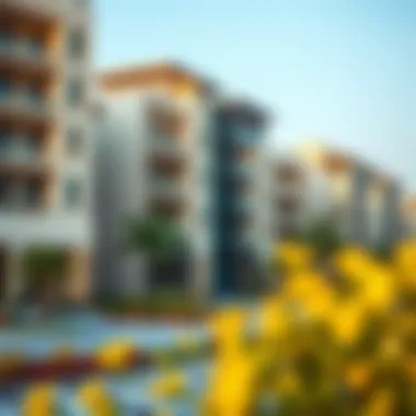 Legal Foundations of Property Rights in UAE