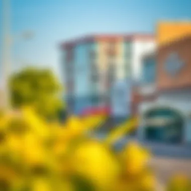 Local amenities in Nad Al Hamar including parks and shopping