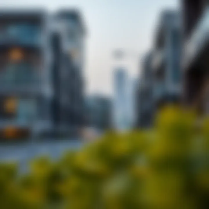 Legal aspects of leasing