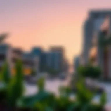 Vibrant community amenities in Mohammed Bin Zayed City