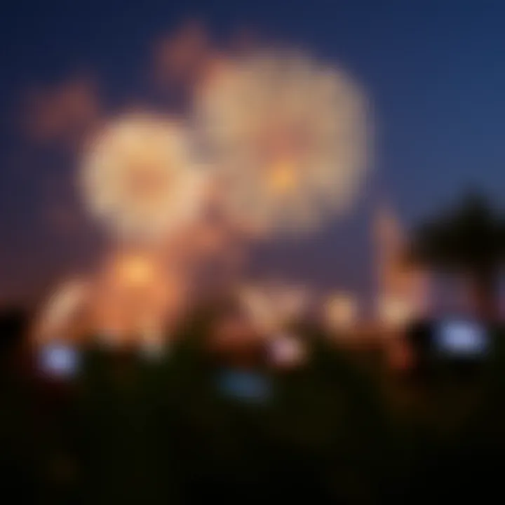 Spectacular Fireworks Display Spectacular fireworks display over the festival