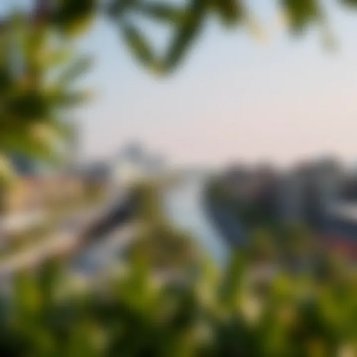 Urban planning layout highlighting green spaces and connectivity