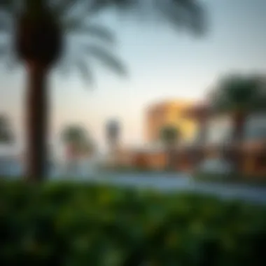 Nearby Amenities of Damac Hills 2 Visualization of nearby amenities and facilities around Damac Hills 2