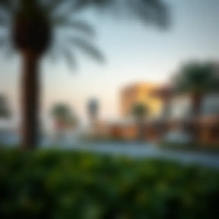 Nearby Amenities of Damac Hills 2 Visualization of nearby amenities and facilities around Damac Hills 2